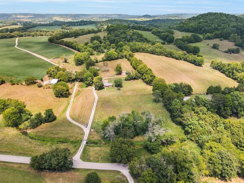 1367 Diana Rd Cornersville TN 37047