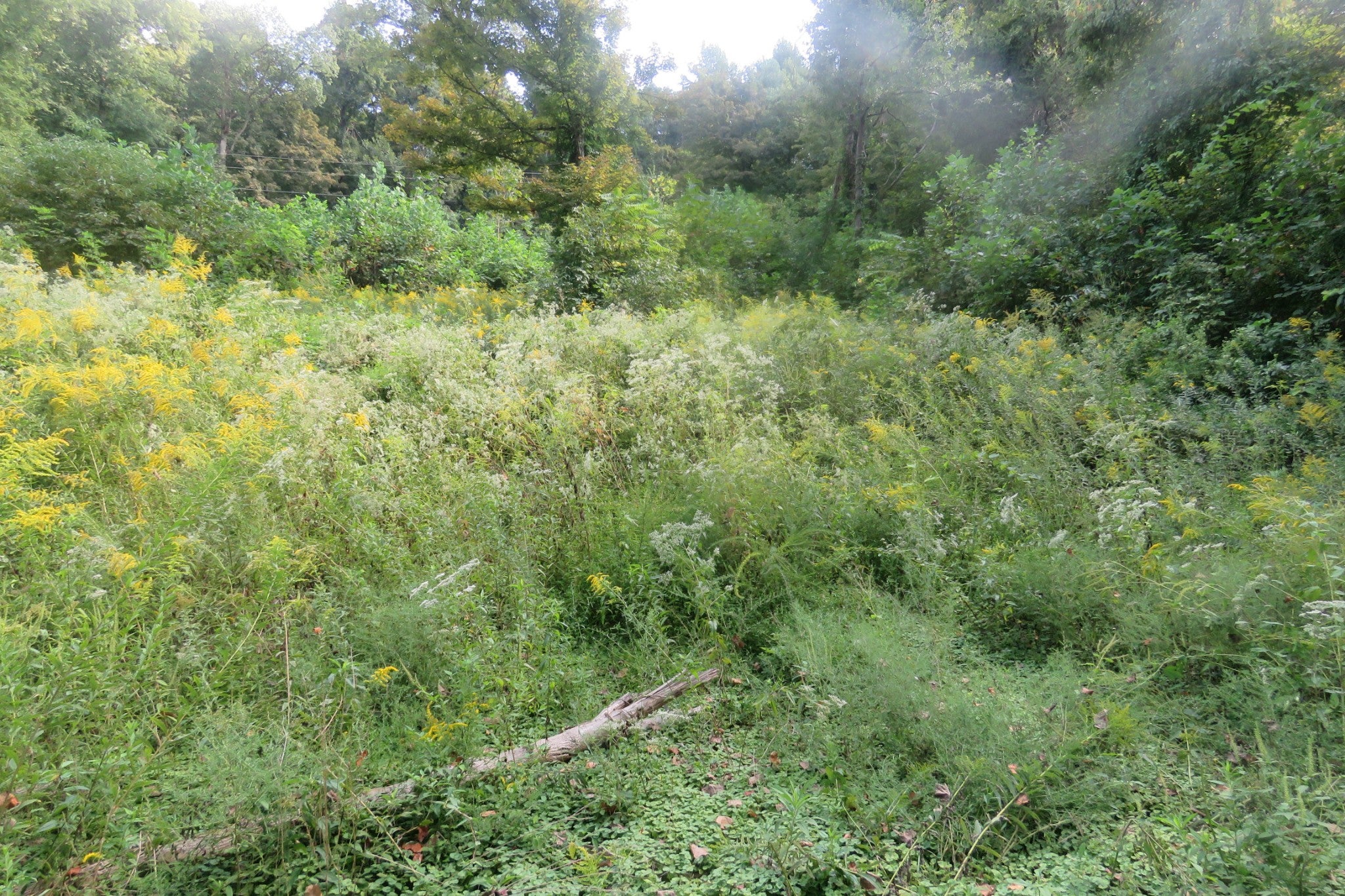 0 Watauga Road