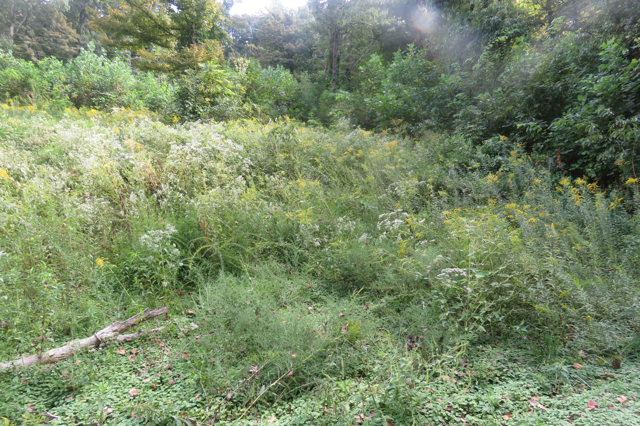 0 Watauga Road