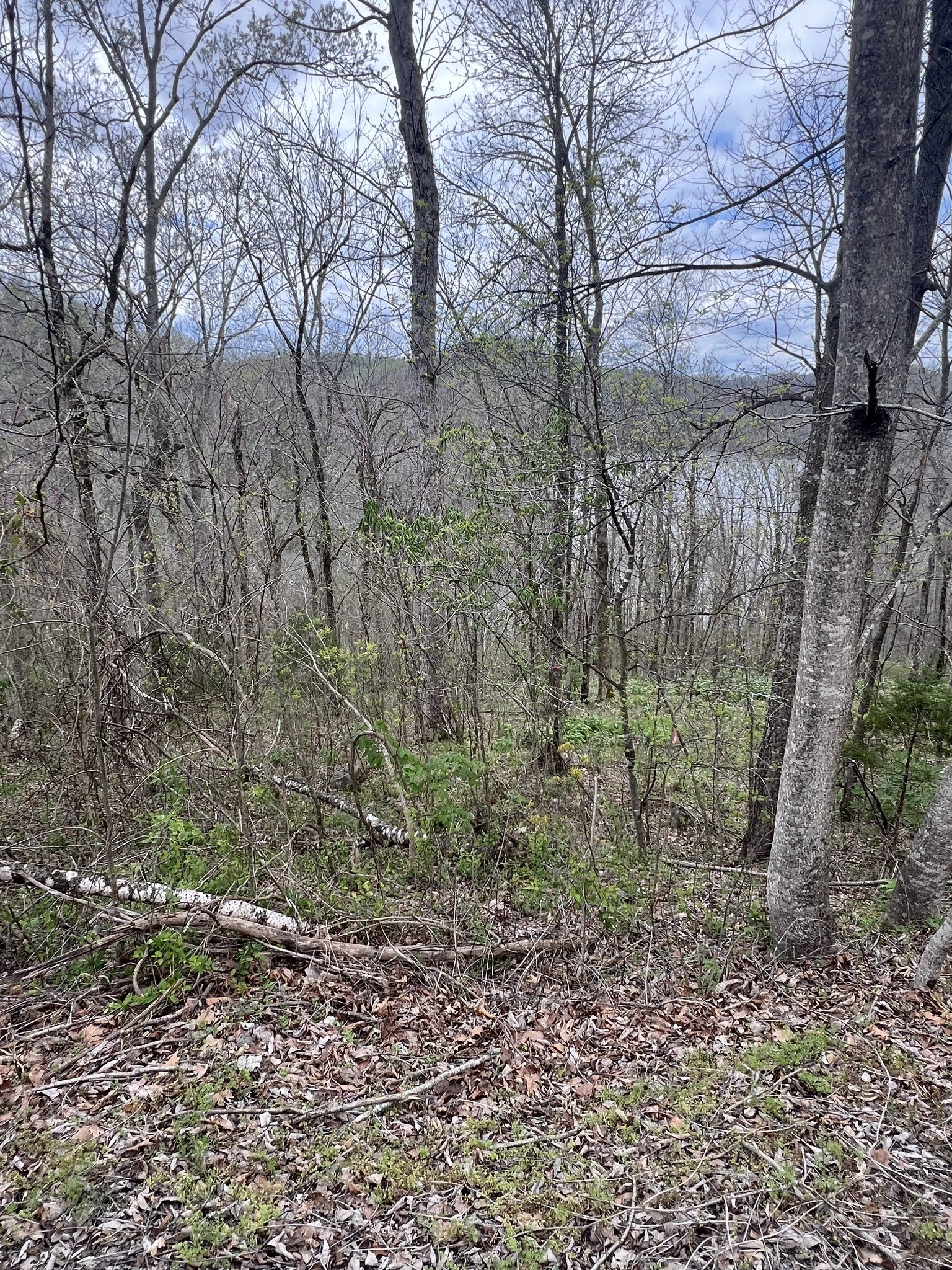 132 Lakeview Dr