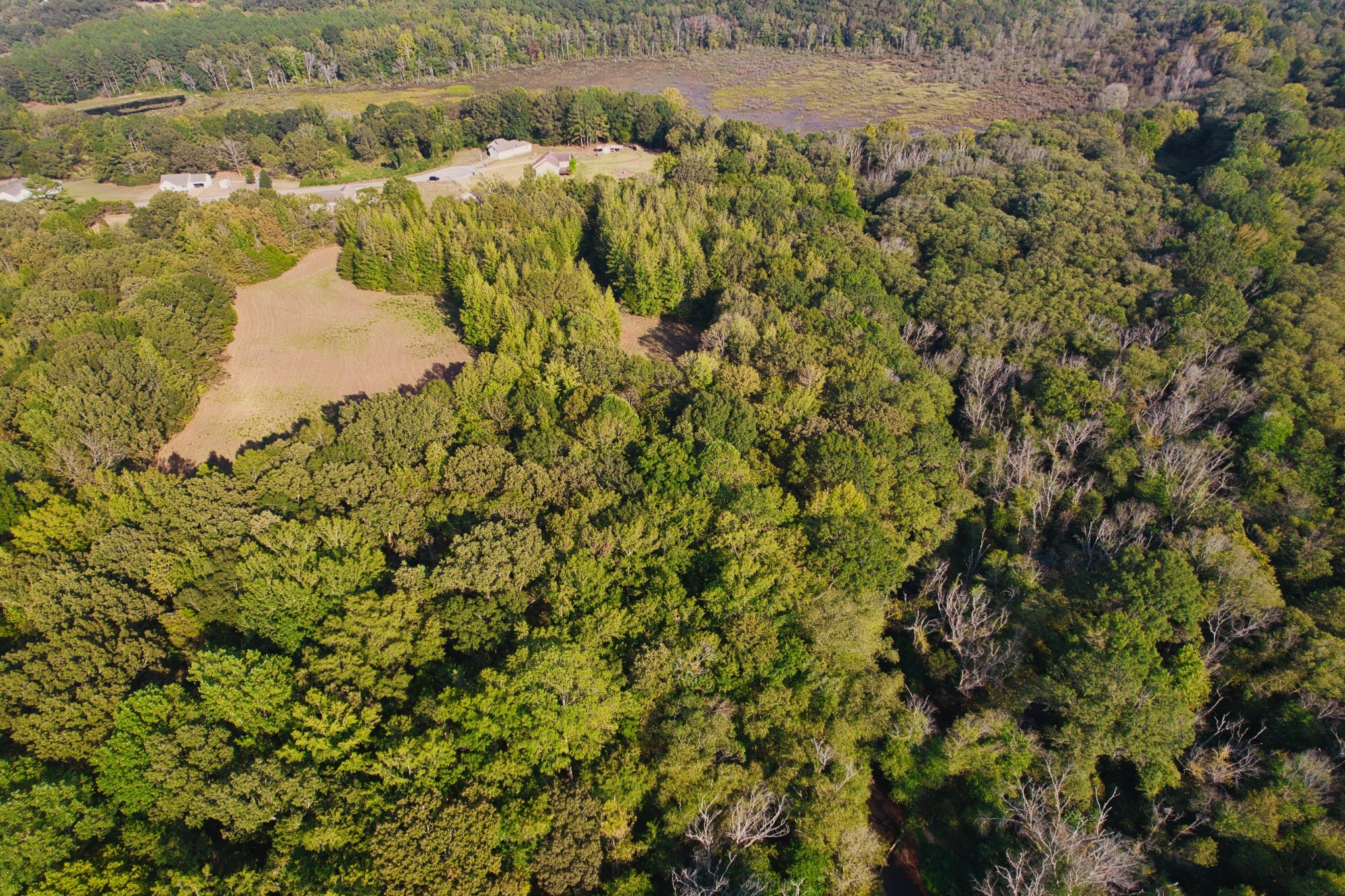 0 Cedar brook - Photo 3