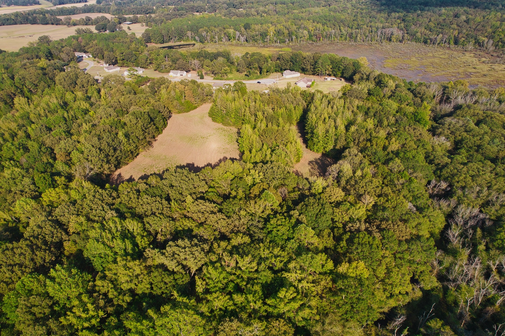 0 Cedar brook - Photo 4