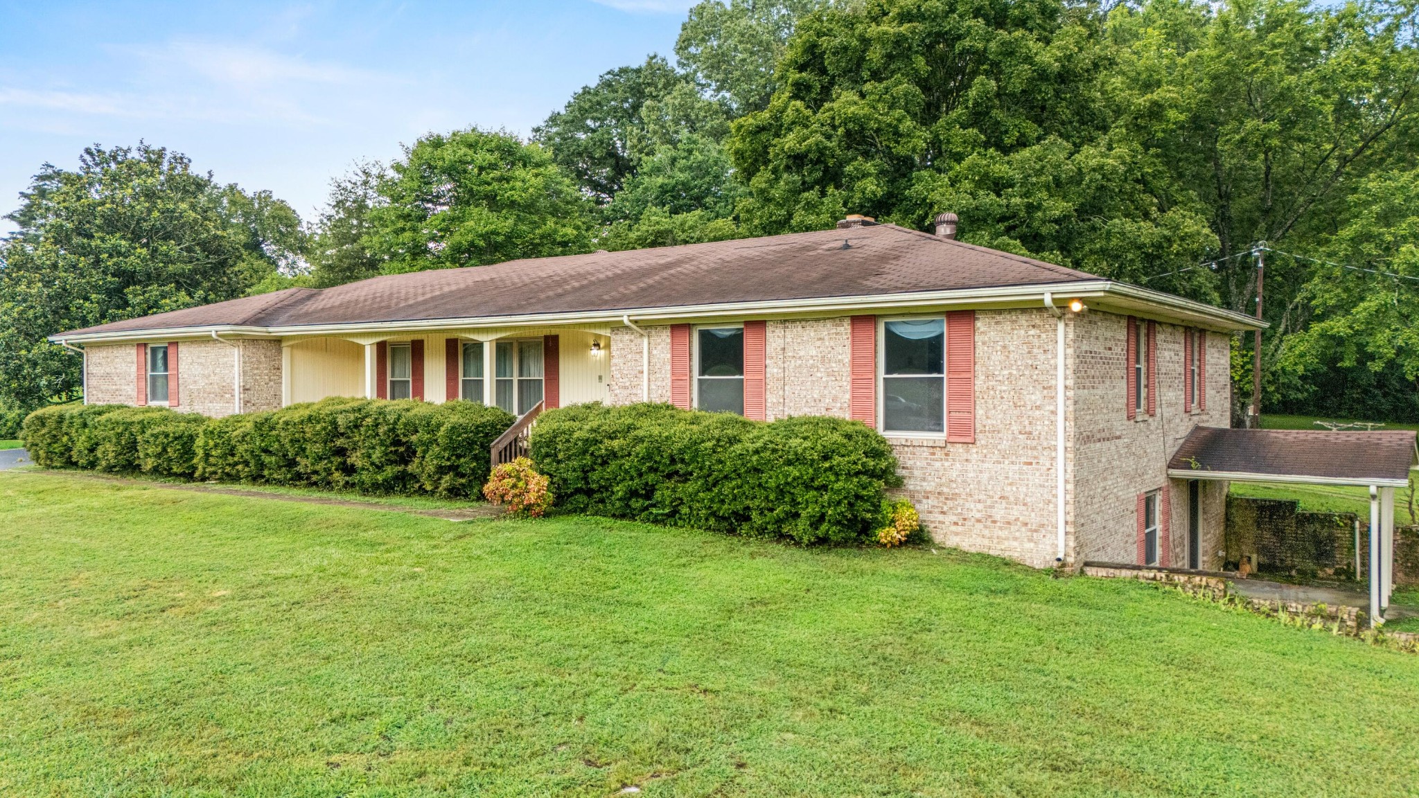 557 Alvin York Highway