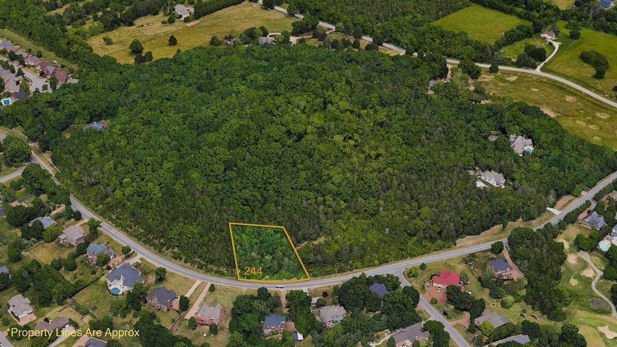 248 Spencer Creek Rd, Franklin TN 37069 0-bed lot, photo 9 of 16