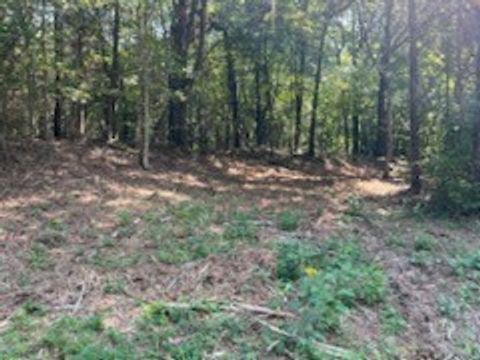 0 Shelter Branch Road Charlotte TN 37036