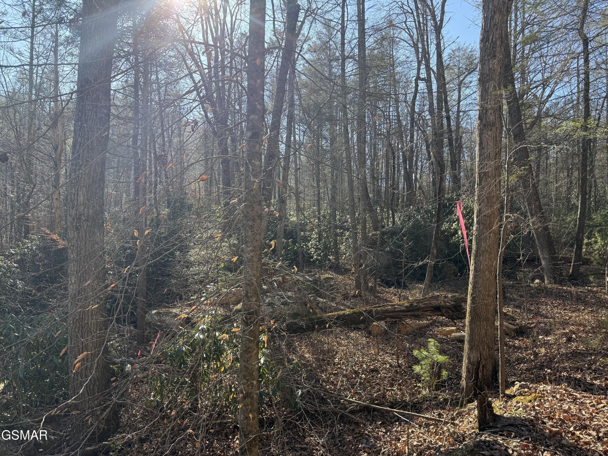 805 Bogard Creek Road