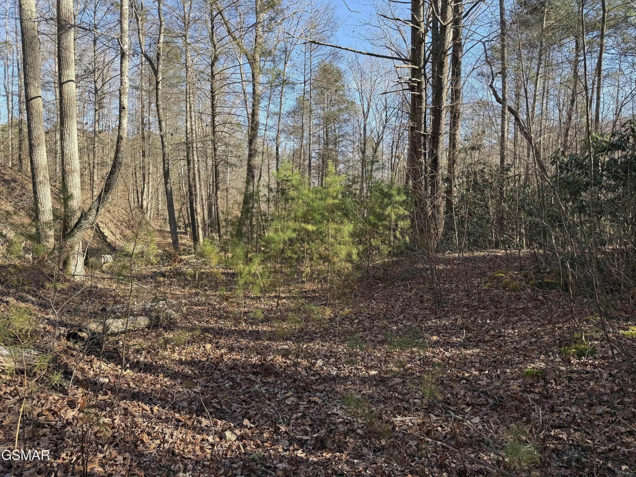 805 Bogard Creek Road
