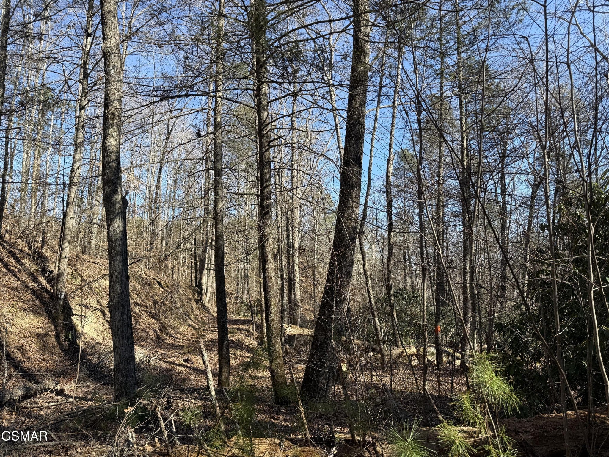 805 Bogard Creek Road