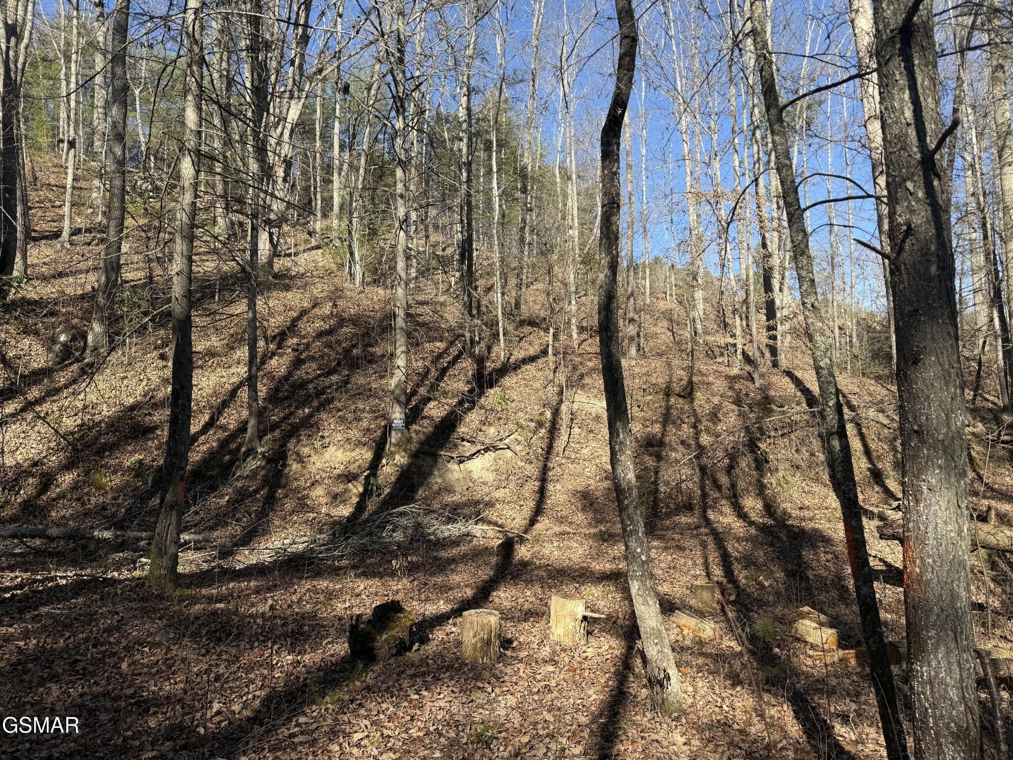805 Bogard Creek Road