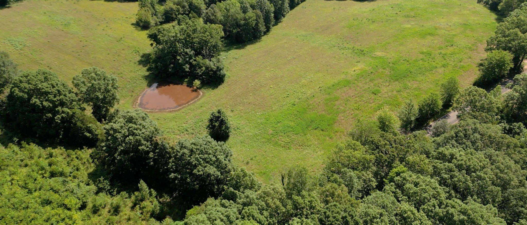 1194 Bailey Hollow Rd