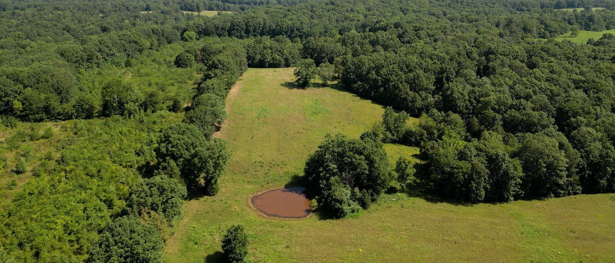 1194 Bailey Hollow Rd