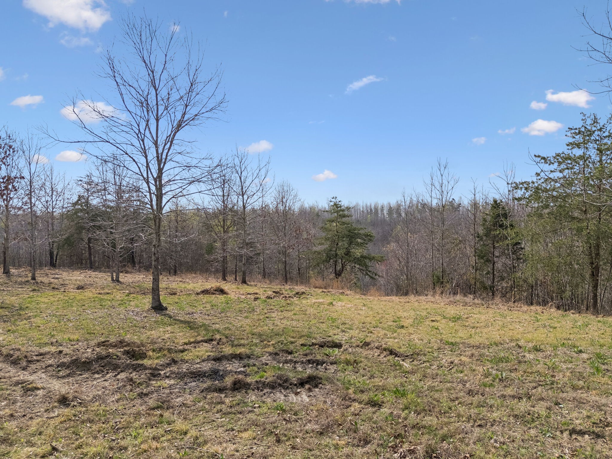 499 Golden View Ln