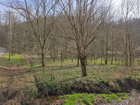 0 Austin Hollow Pleasant Shade TN 37145