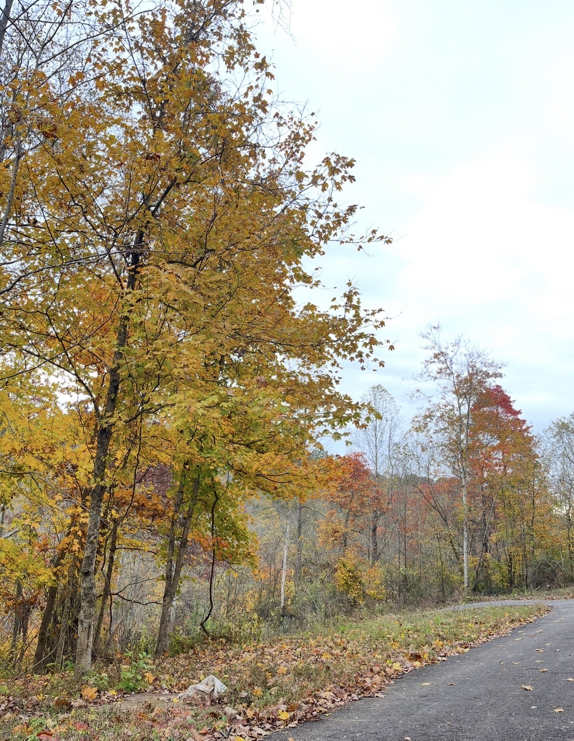 426 Rock House Hollow Road
