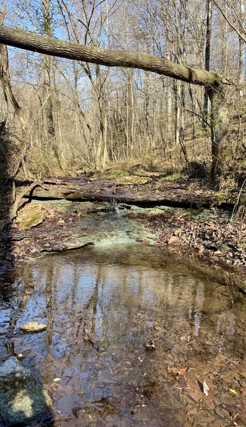 0 Lewisburg Hwy Pulaski TN 38478