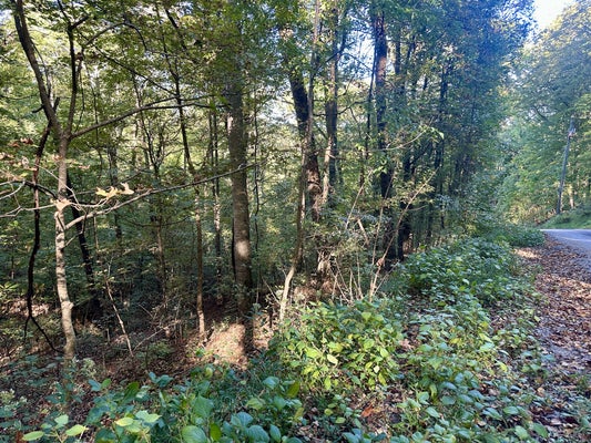 0 LAKESIDE DR, SMITHVILLE, TN 37166 - Image 6c634a0f720091eddd05072fcf7af4e0/220735774