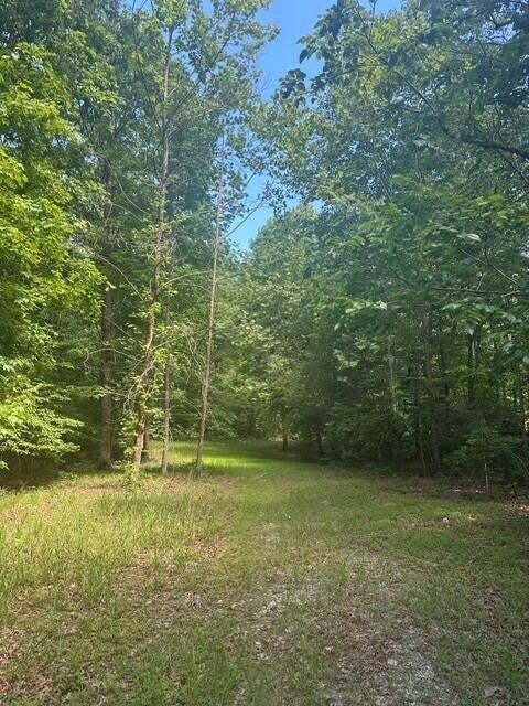 43 Bluffs Woods