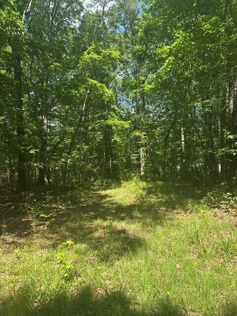 43 Bluffs Woods