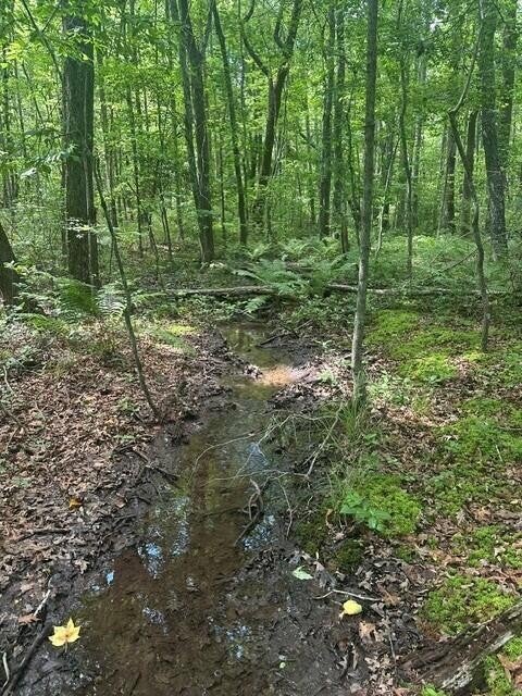 43 Bluffs Woods