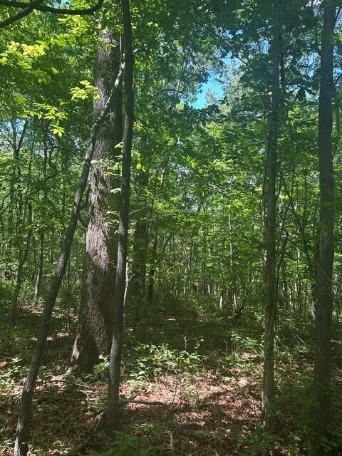 43 Bluffs Woods