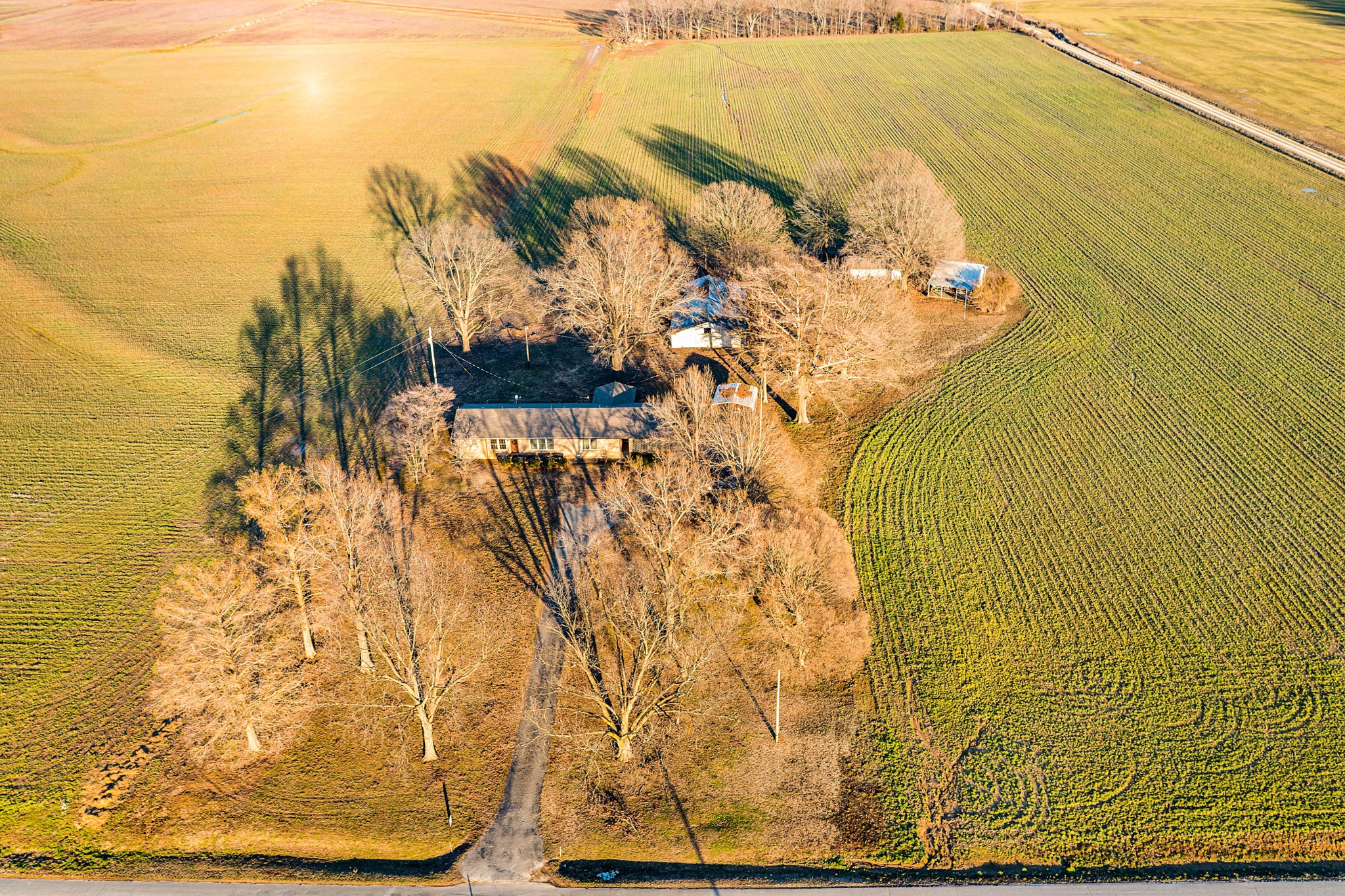Listing image 1
