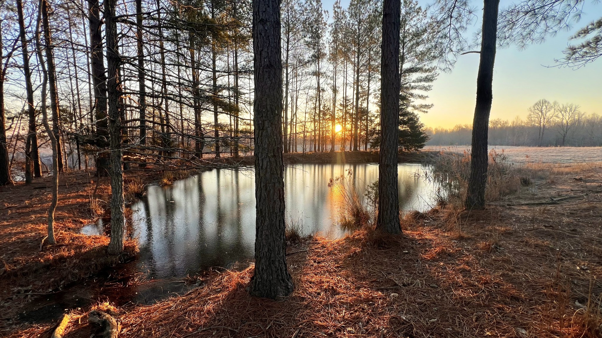 0 Seven Mile Ridge Rd