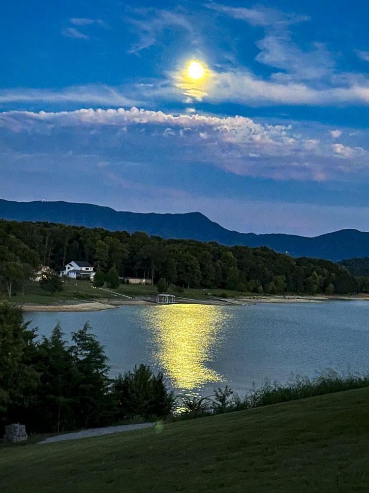 1964 Harbor Hills Dr