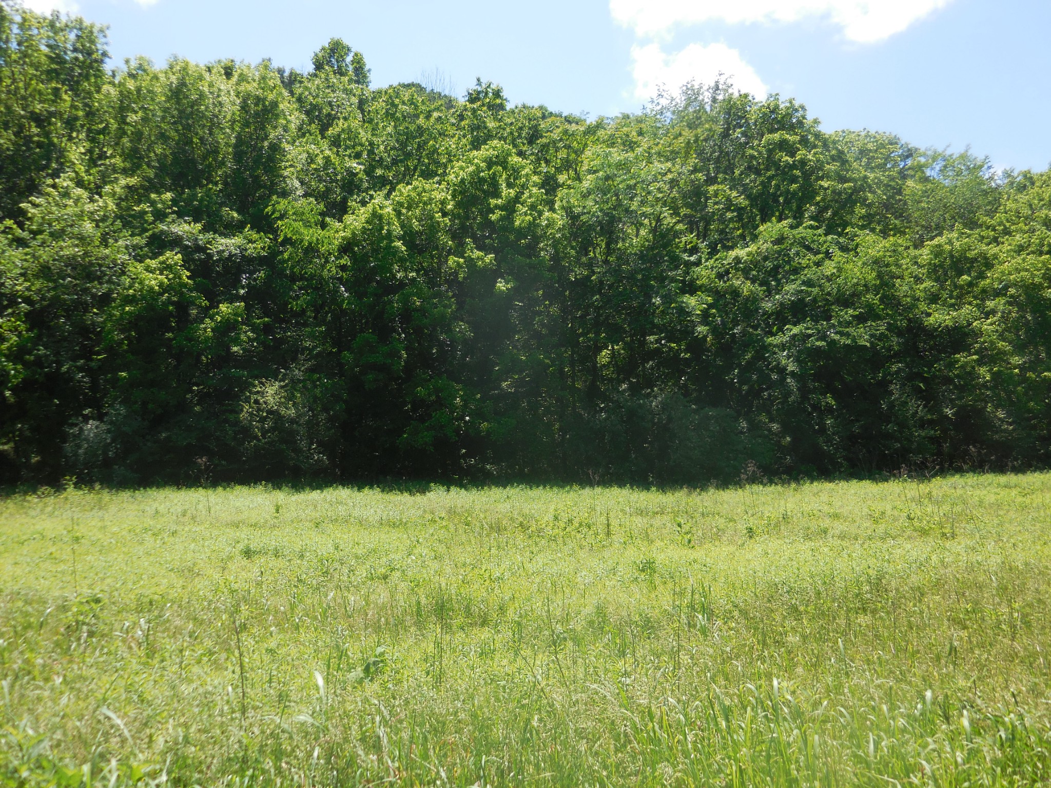 1222 Hopkins Hollow