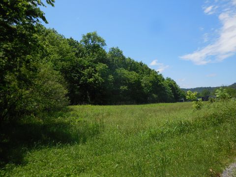 1222 Hopkins Hollow Gainesboro TN 38562