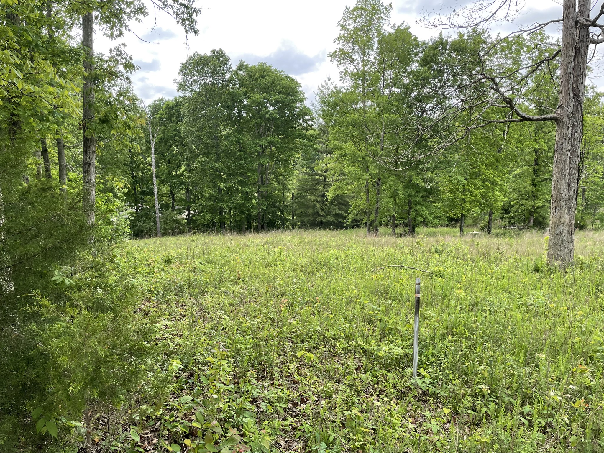 208 W Richview Rd
