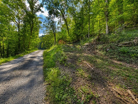 HALLS HOLLOW RD, SMITHVILLE, TN 37166 - Image 6ccd05c66ea8156f160fa9db2aac1c12/1884742346