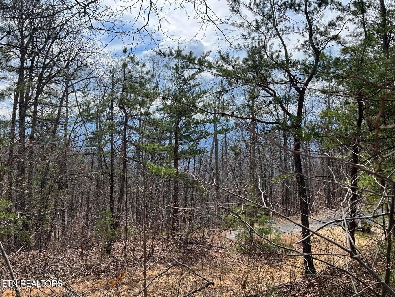 0 Chestnut Ridge Court