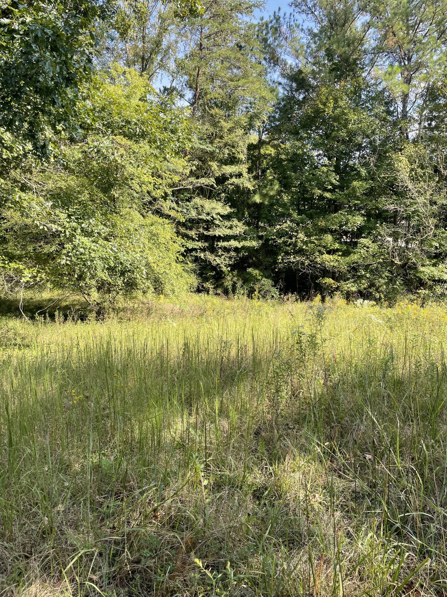 3130 Harrison Pike