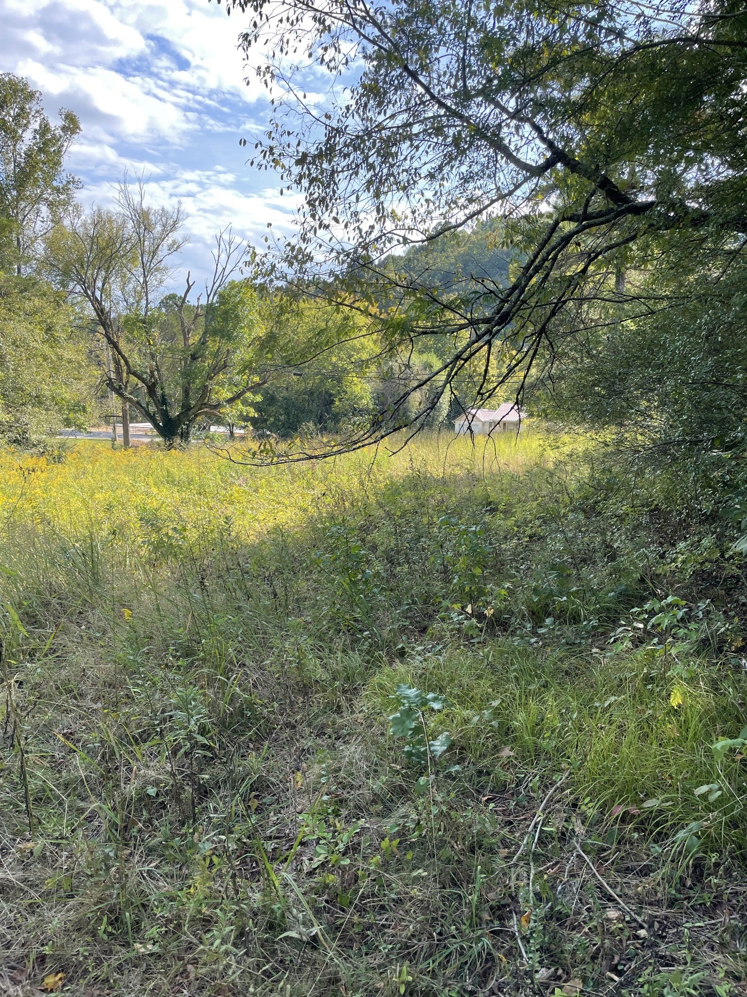 3130 Harrison Pike