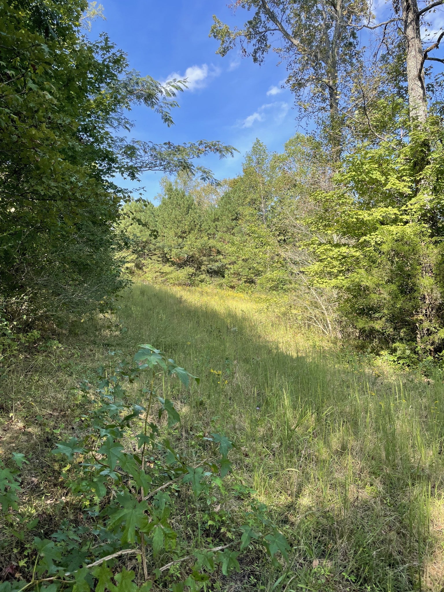 3130 Harrison Pike