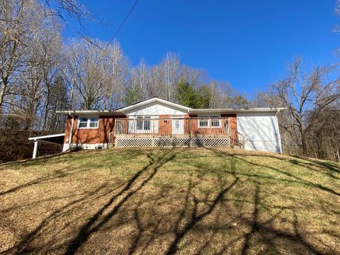85 Fentress Dr Erin TN 37061