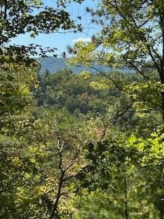 61 Chestnut Valley Road