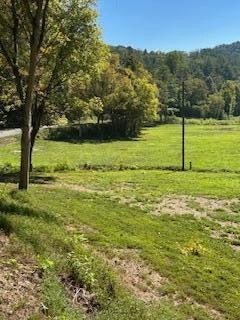 61 Chestnut Valley Road
