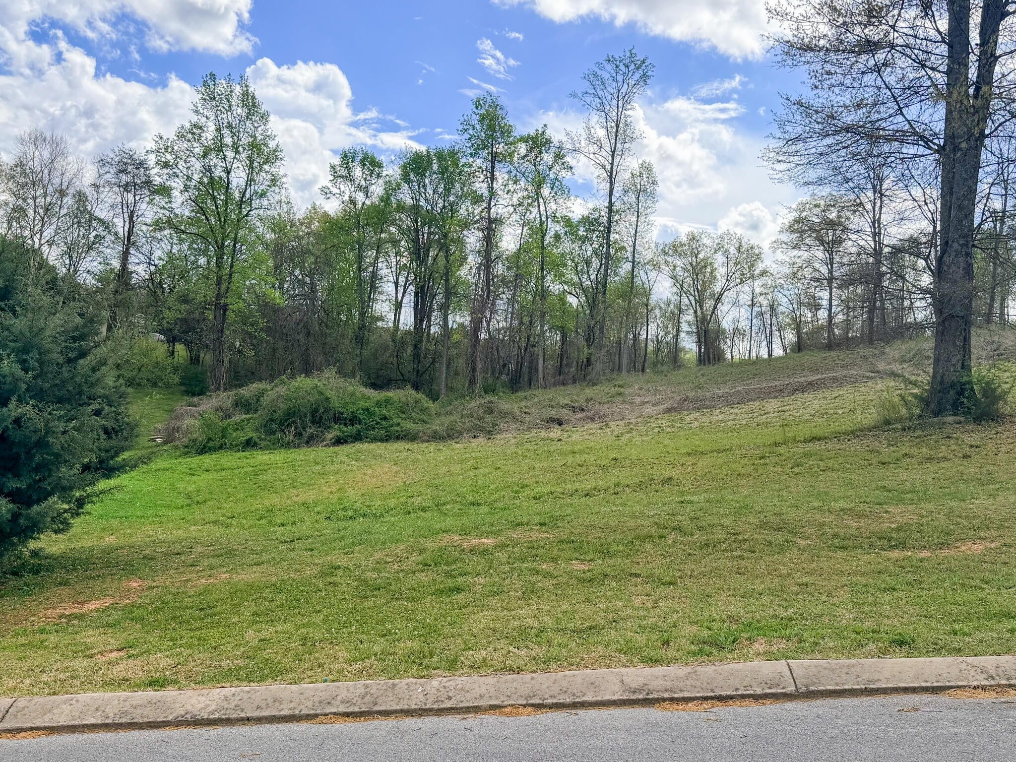 0 Woodland Drive