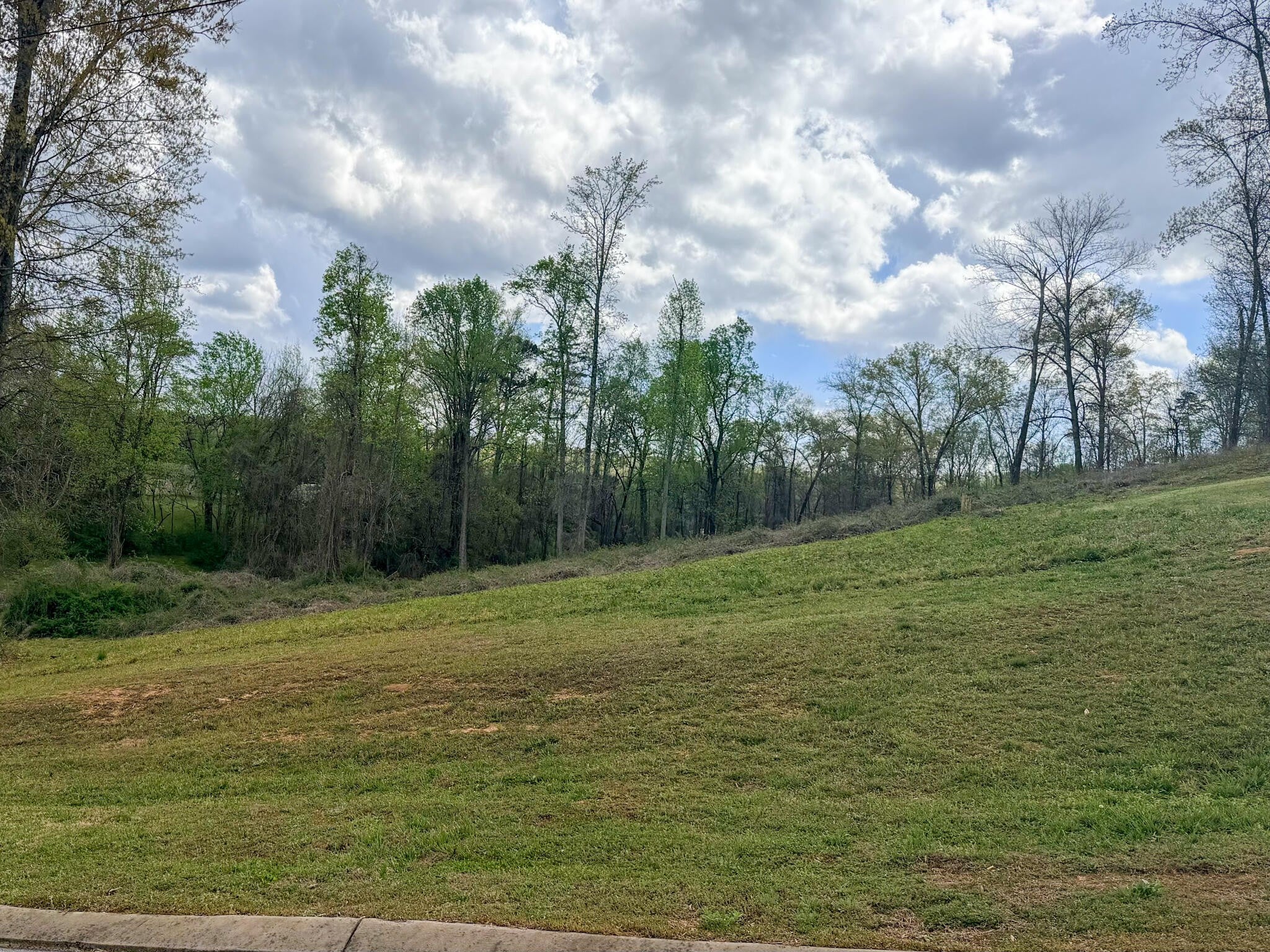 0 Woodland Drive