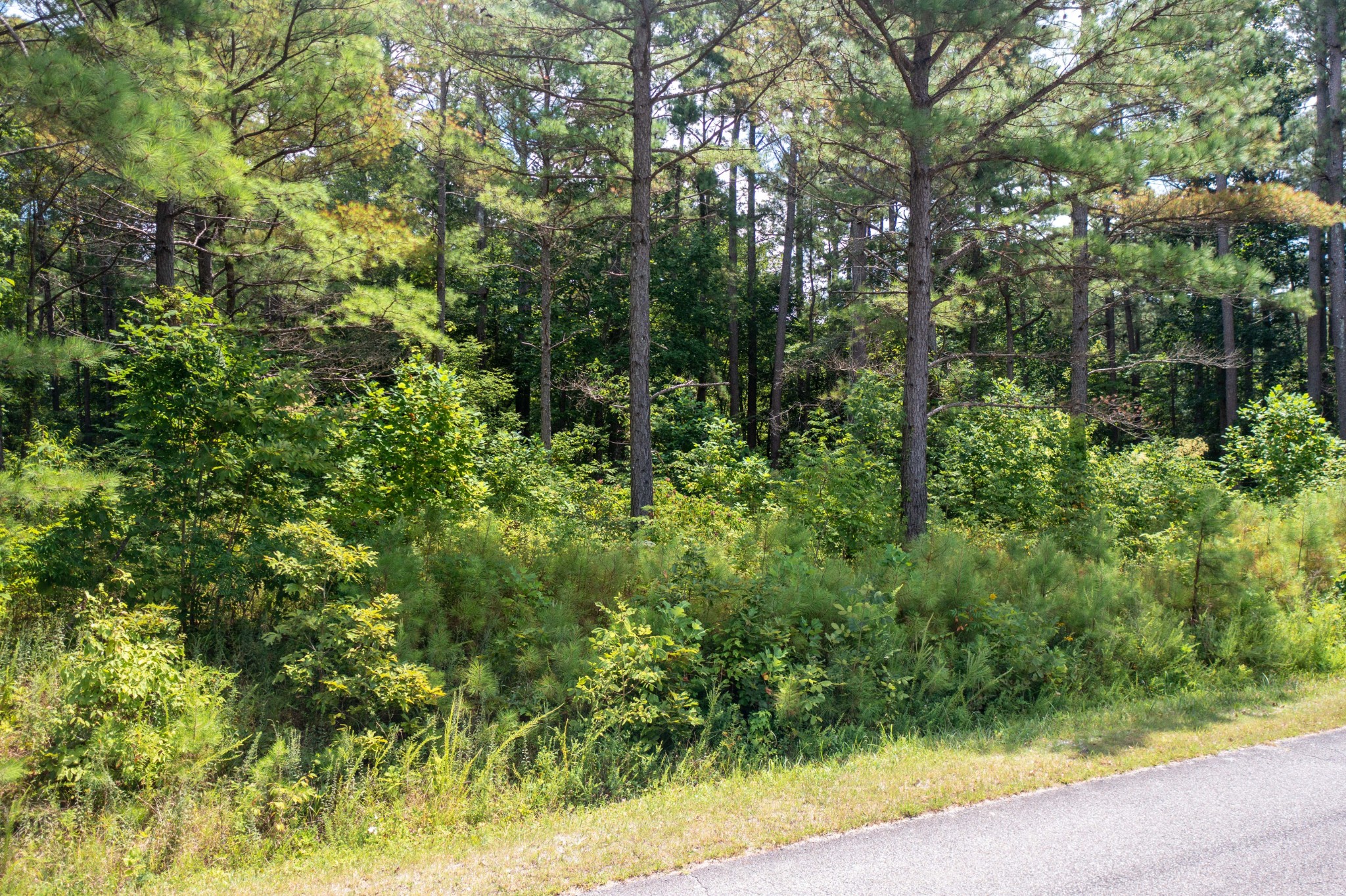 0 Bear Creek Rd S