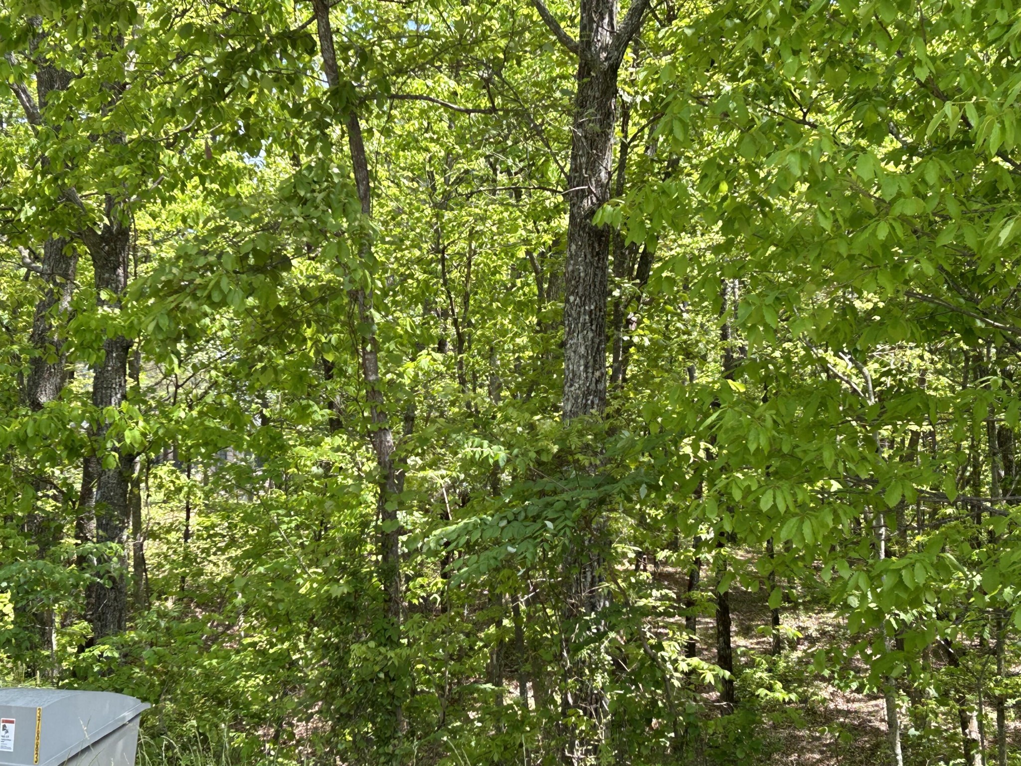 225 Prospectors Way