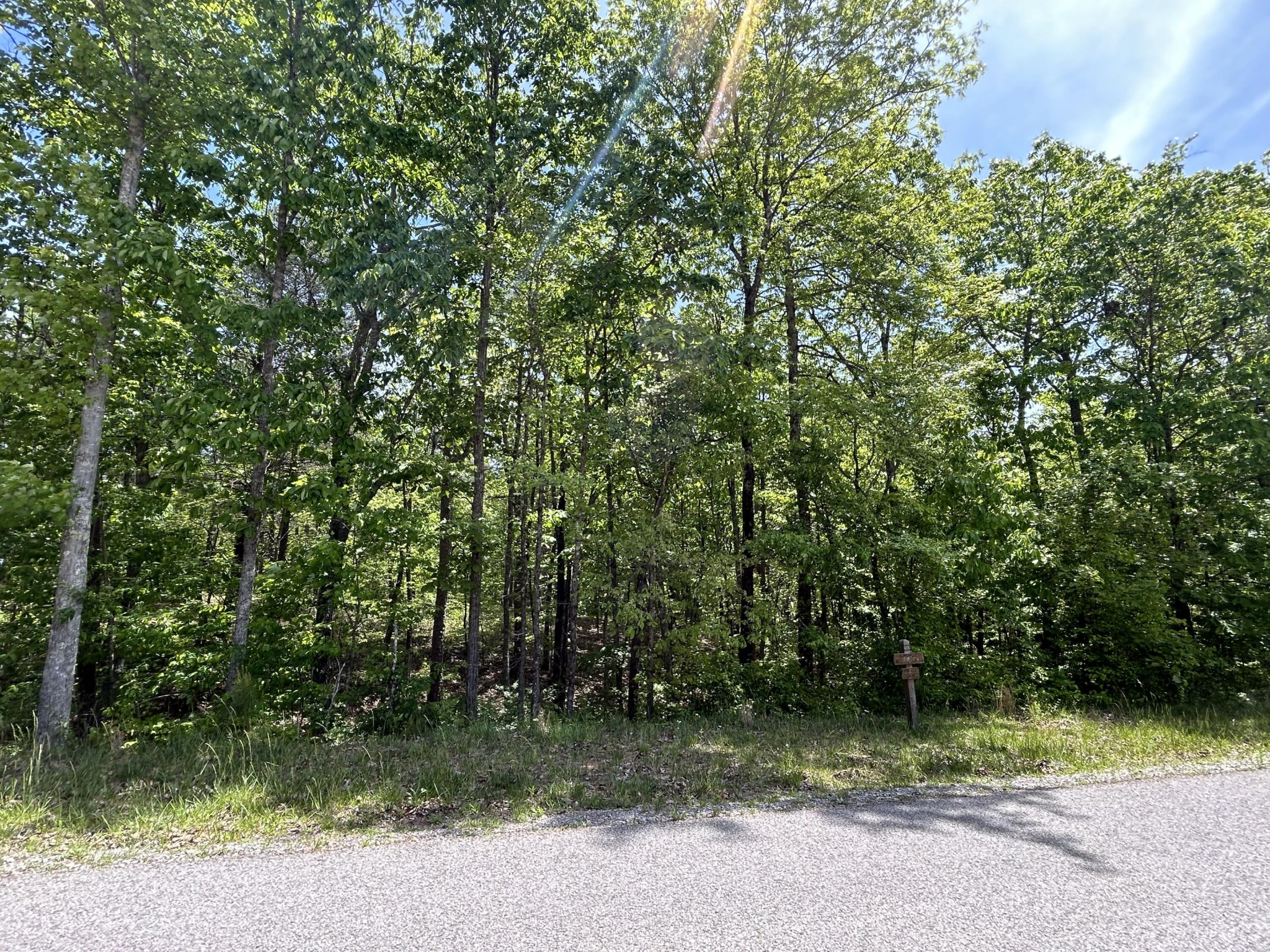 225 Prospectors Way
