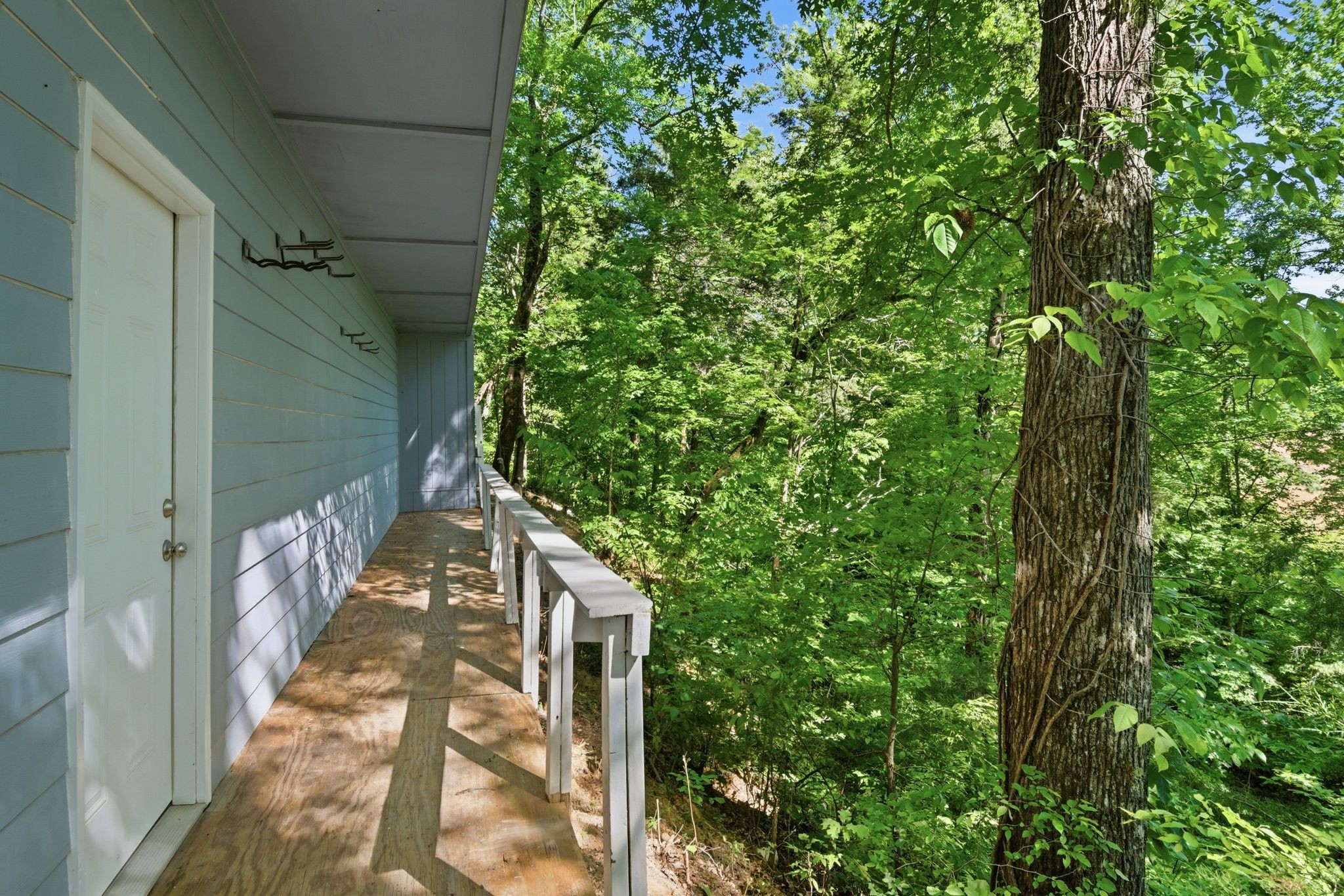 3031 Blue Buck Creek Road