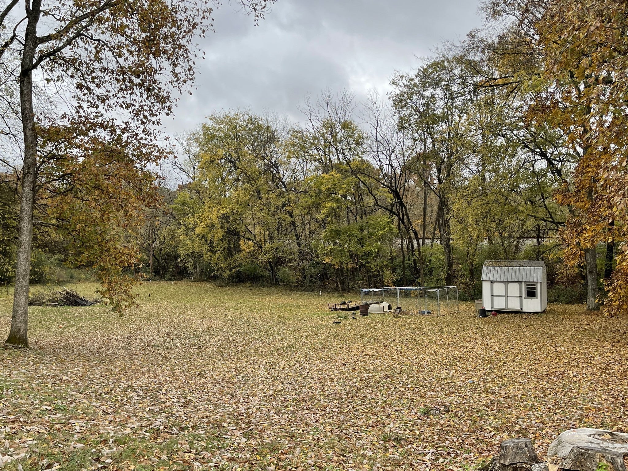 1210 White Dr
