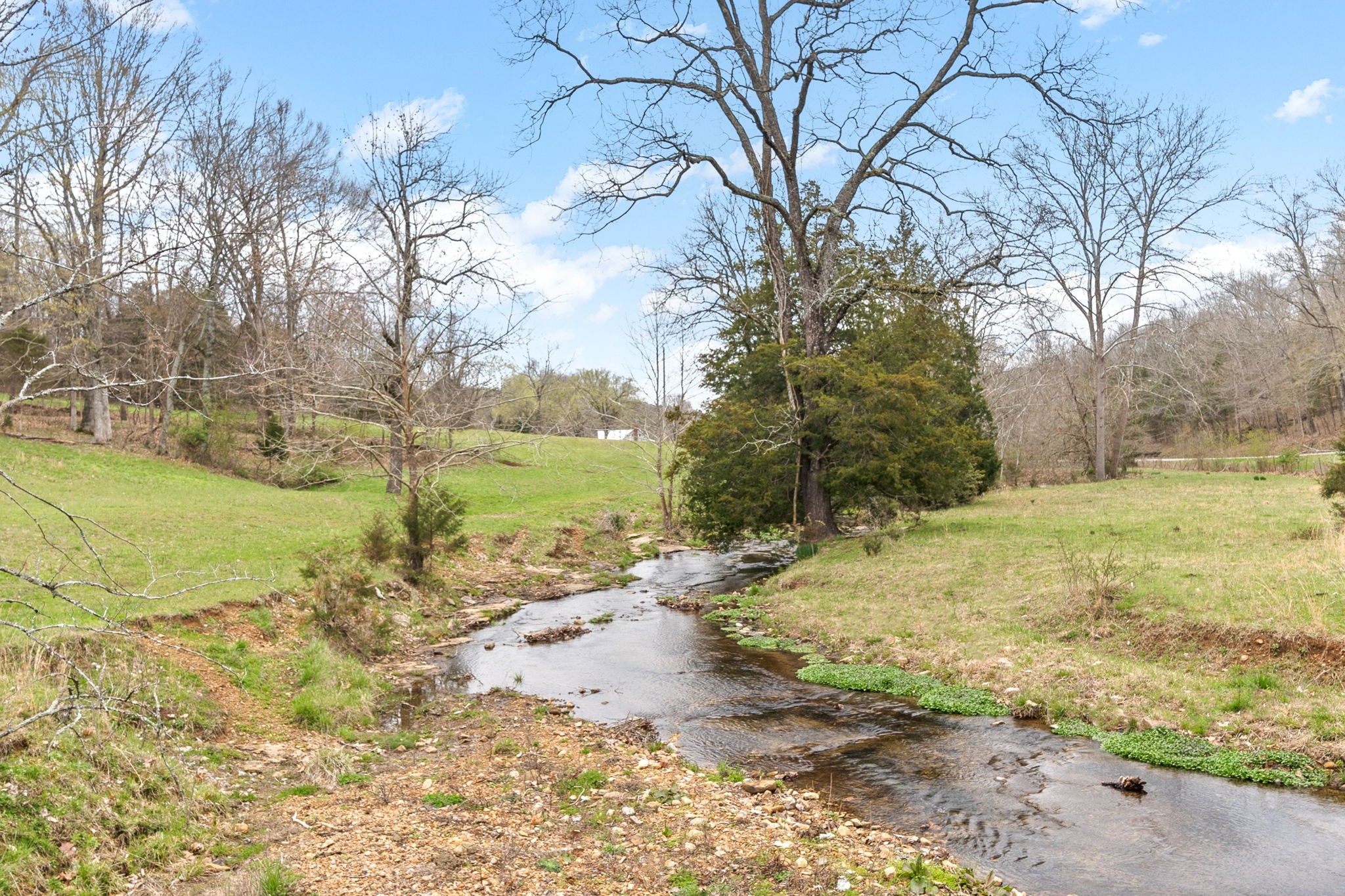 1551 Buck Smith Rd