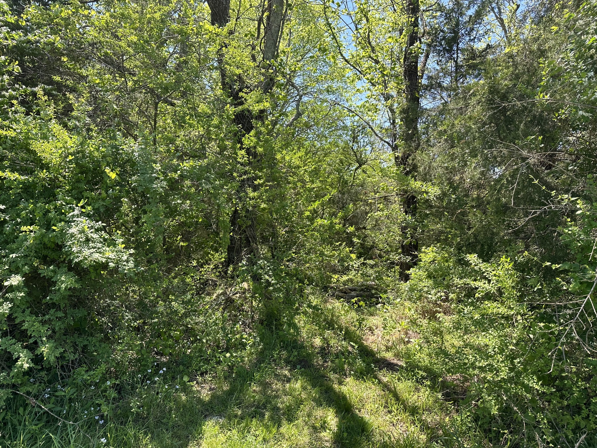 4224 Murfreesboro Rd