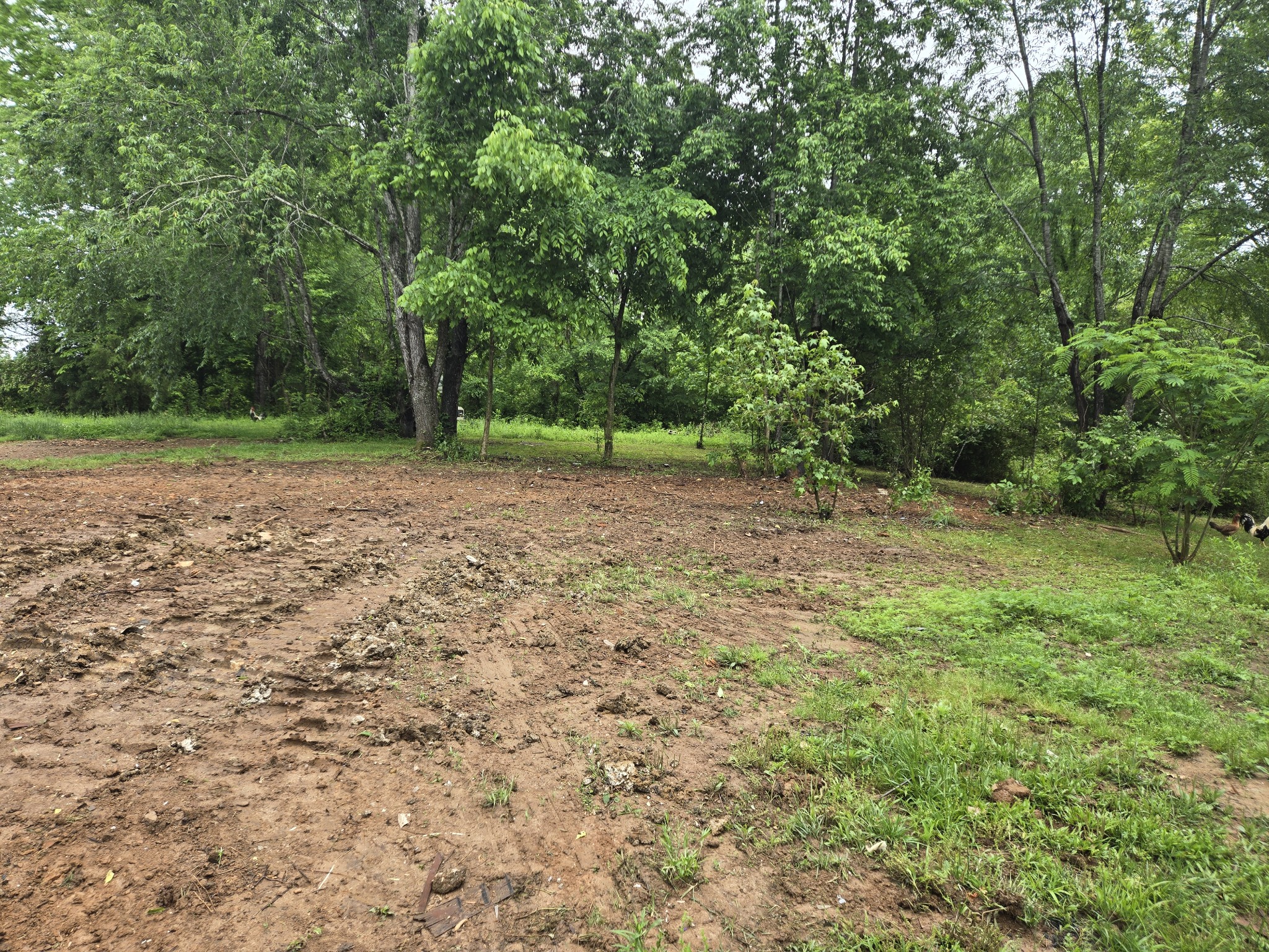 6241 Green Rd