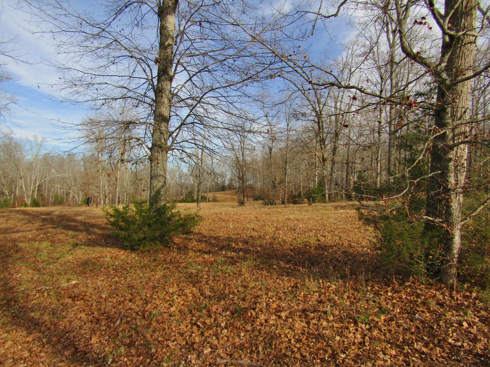 3199 Verona Caney Rd