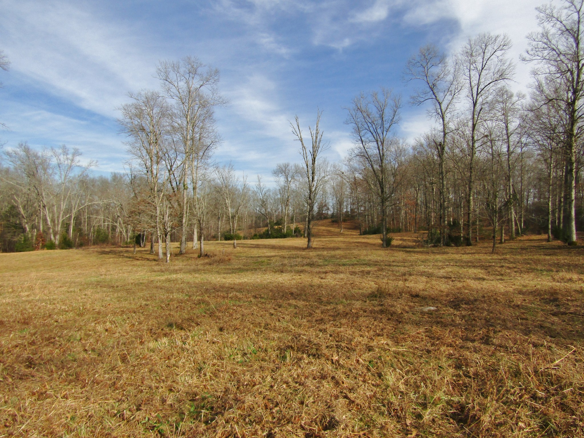 3199 Verona Caney Rd